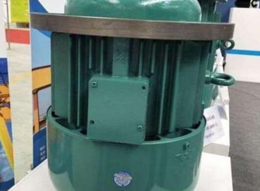軸電流量對蜜桃99精品国产免费電機的損壞有多大？